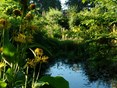 ecologische zomertuin