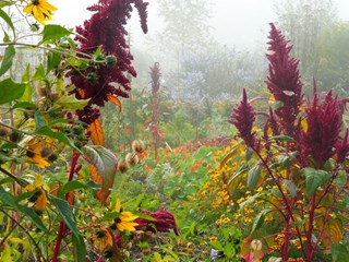 ecologische najaarstuin