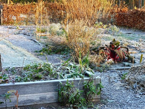 ecologische wintertuin