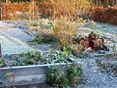 ecologische wintertuin