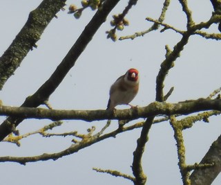 Putter Naturentuin