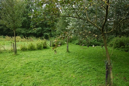 augustus 2011-3