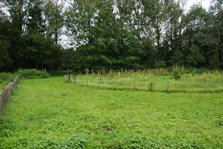 augustus 2011-5