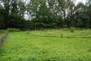 augustus 2011-5