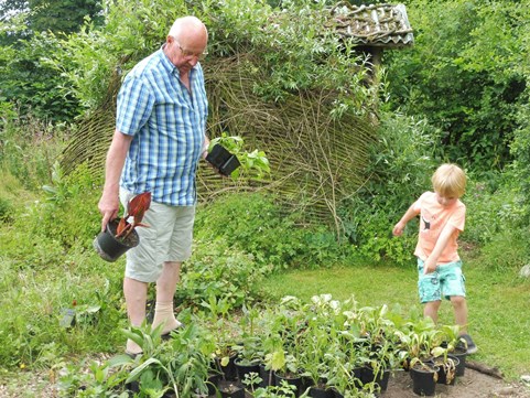 08 plantjes uitzoeken