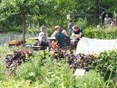 16 gezellig aan de picknicktafel