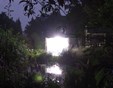 nachtvlinderavond