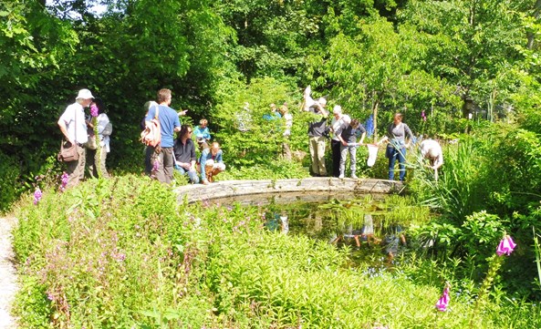Zweefvliegenexcursie Naturentuin