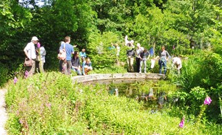 Zweefvliegenexcursie Naturentuin