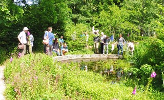 Zweefvliegenexcursie Naturentuin