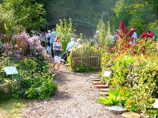 Naturentuin Nazomerdag sept 2016 (11)