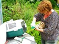 Bosuil Naturentuin komt aan uit vogelasiel