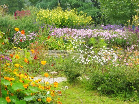 Herfstasters Naturentuin 5