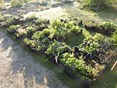 Tuinadvies 4 stekken staan klaar om opgehaald te worden