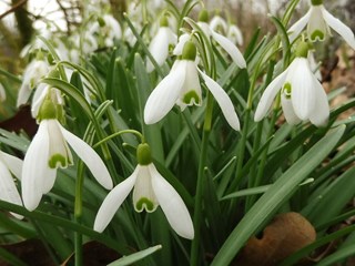 Seizoensstart Naturentuin 2018