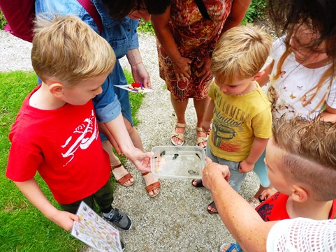 Zomerspeurtochten in de Naturentuin 2