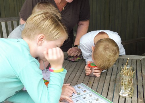 Zomerspeurtochten in de Naturentuin 3