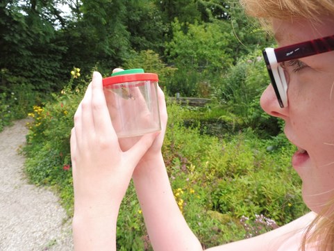 Zomerspeurtochten Indra en de kolibrivlinder  4