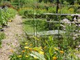Droogte Naturentuin 27-6 3