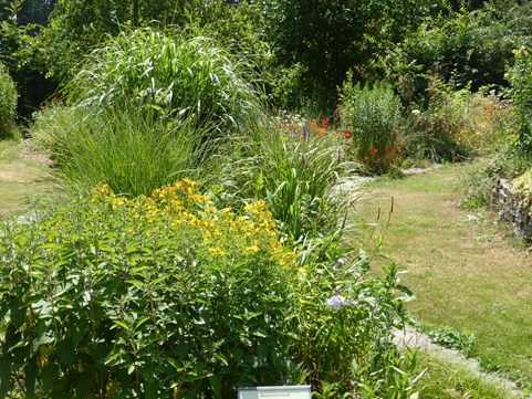 Droogte Naturentuin 27-6 4