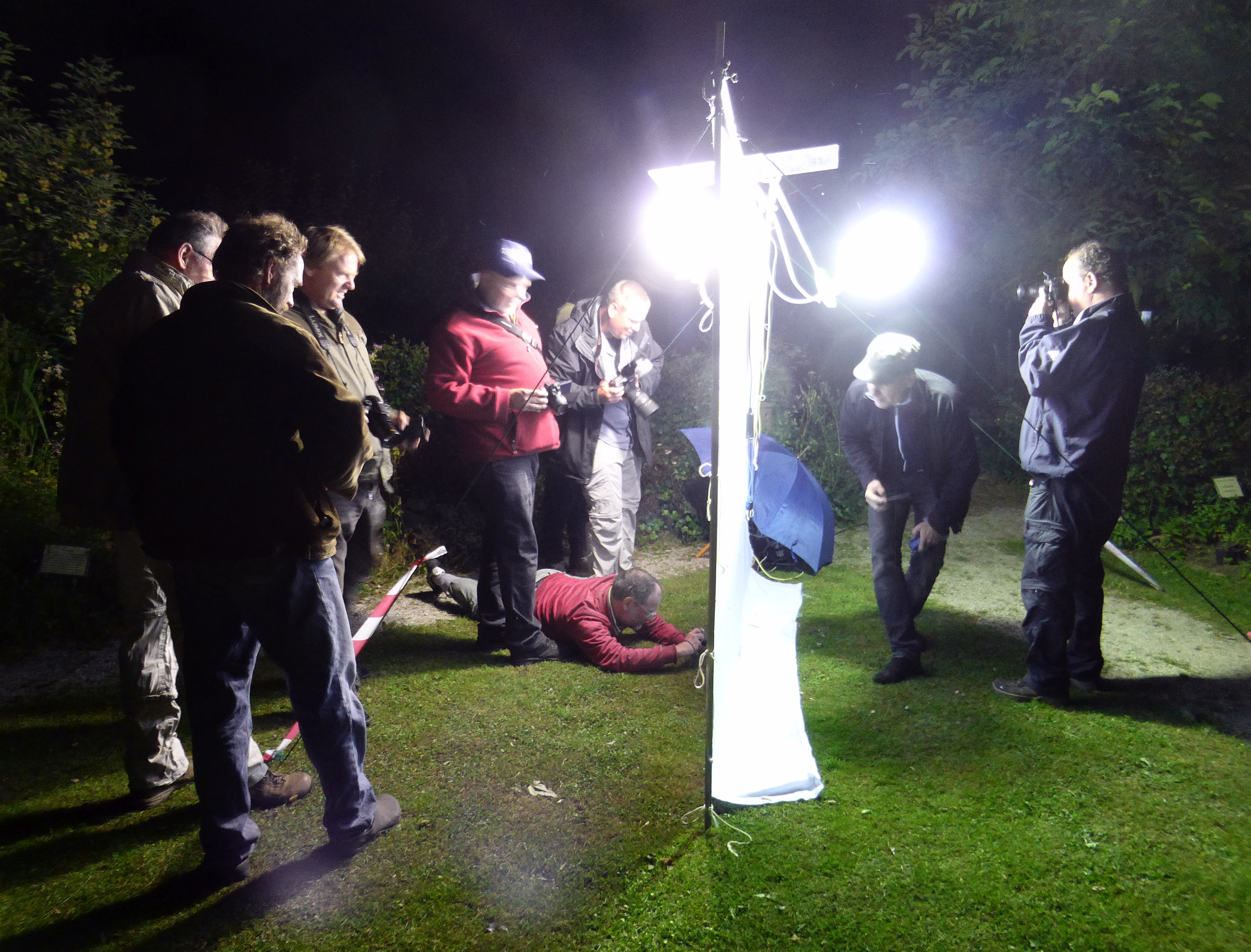 Van eekhoorn tot porseleinvlinder