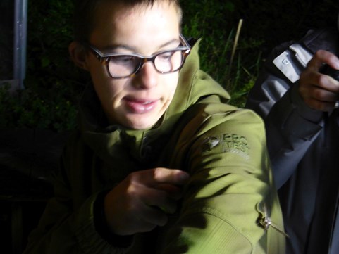 Nachtvlindernacht Meander met de pijlstaart