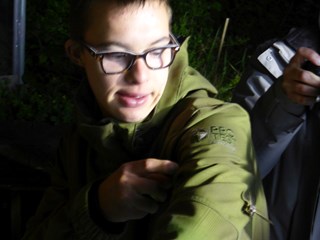 Nachtvlindernacht Meander met de pijlstaart