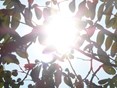 Zinderende zomer