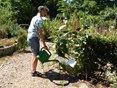 01 Af en toe een gieter bij een plant