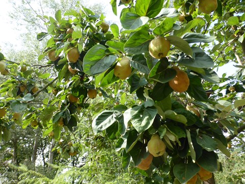 P1060496