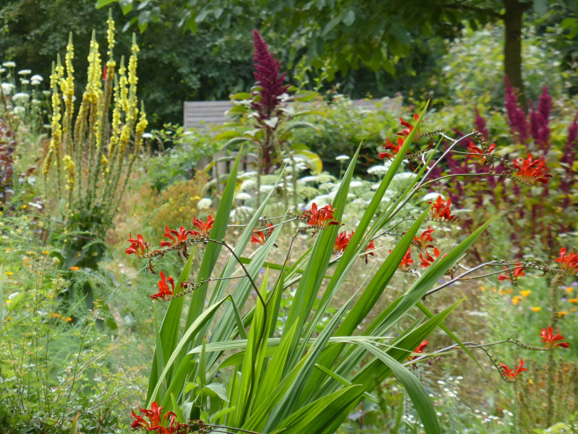Fotolezing: Extreem weer in de natuurrijke tuin