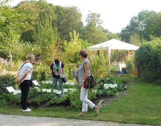 Nazomertuindag in de Naturentuin 2