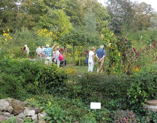 Nazomertuindag in de Naturentuin 3