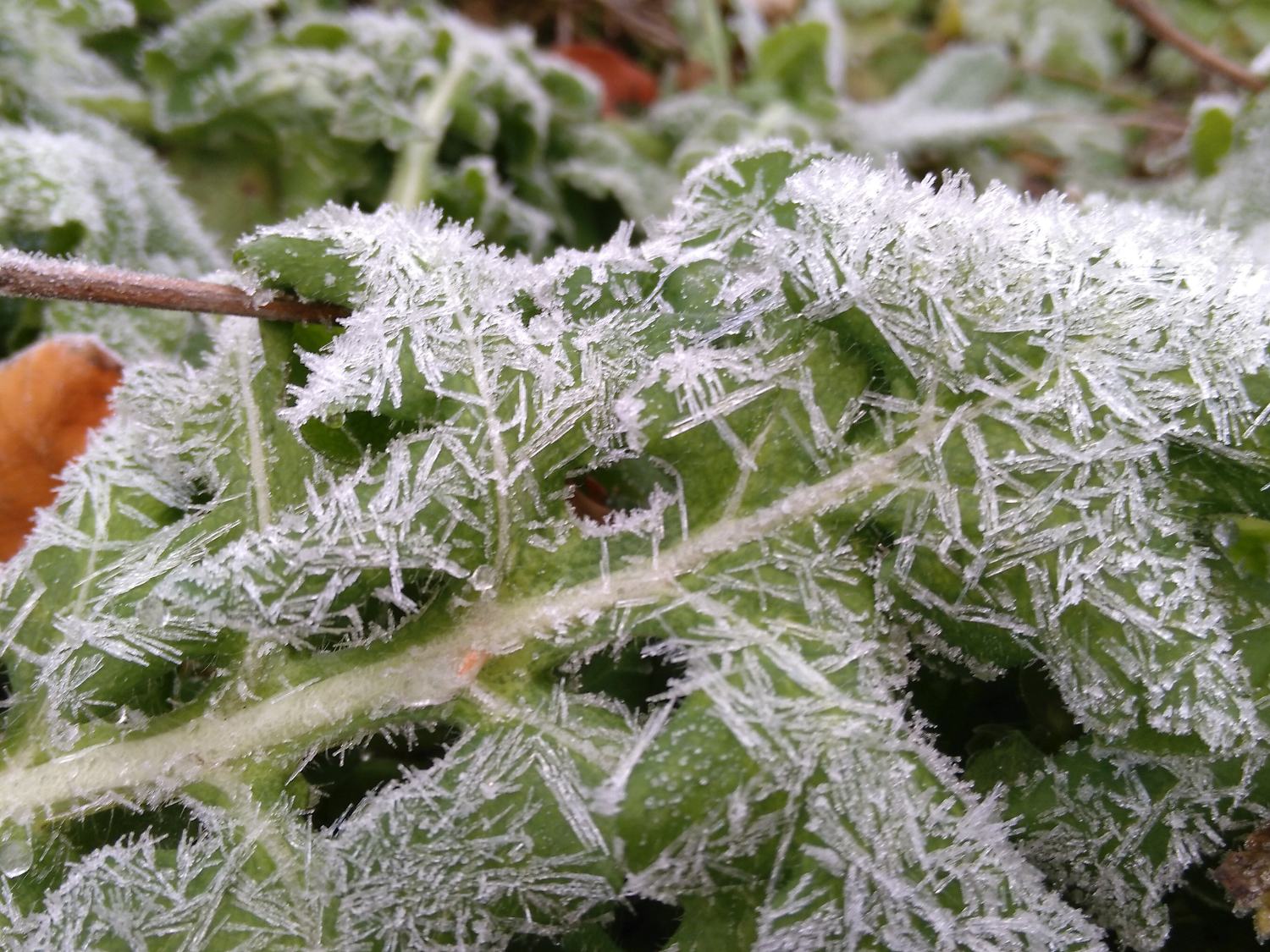 Winterrust in de Naturentuin