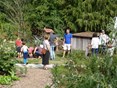 zomer 2