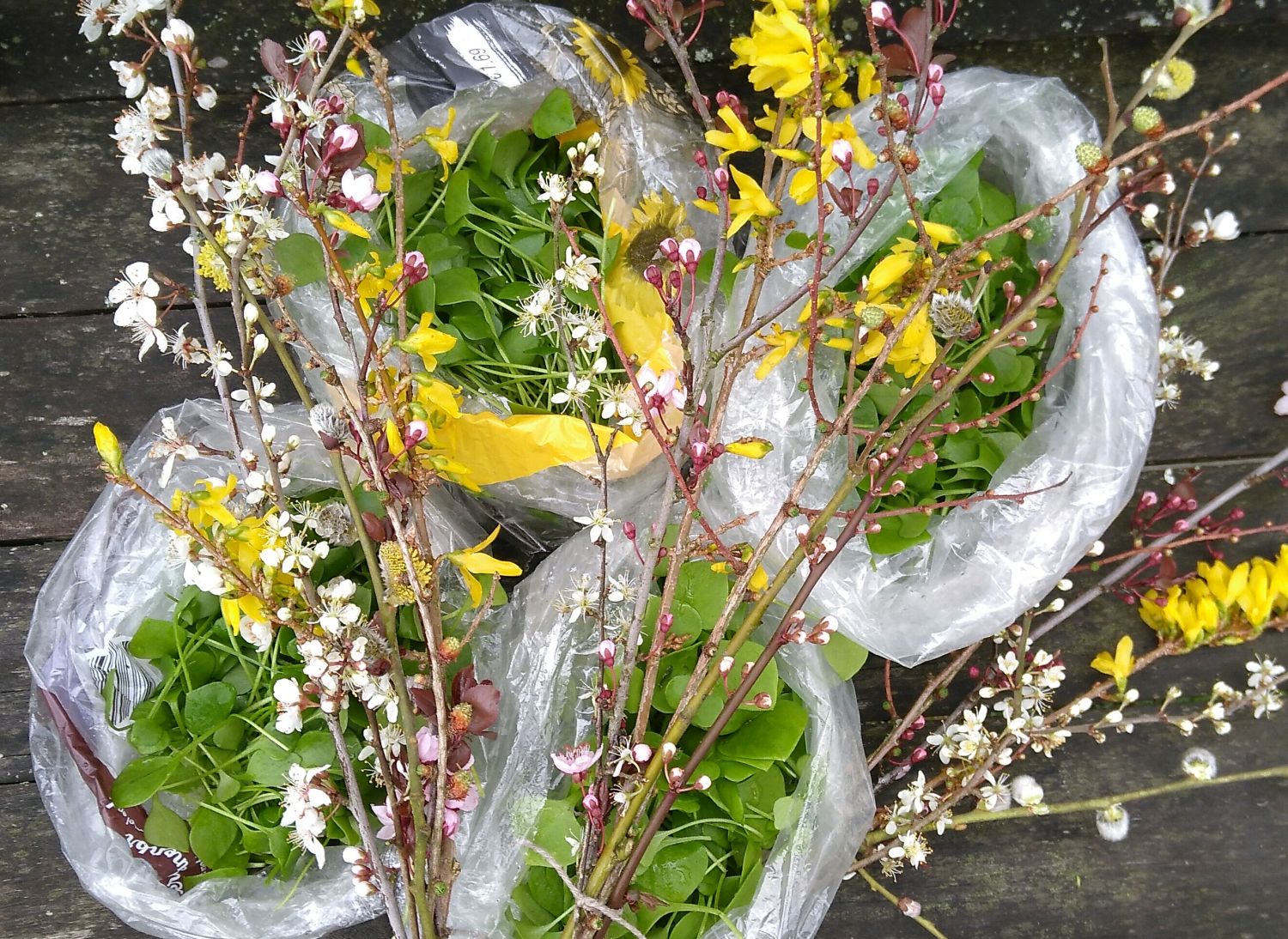 Voorjaar in de Naturentuin