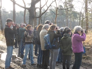 Vroege vogelwandeling 2020