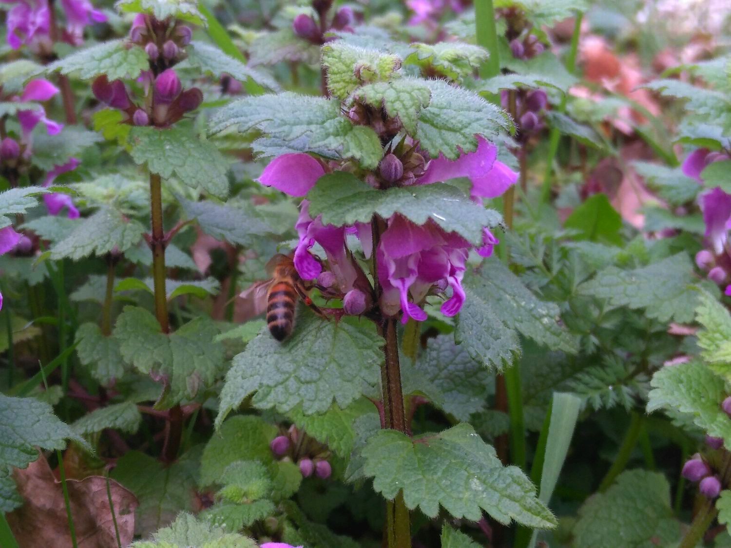Ontdek de natuur dichtbij