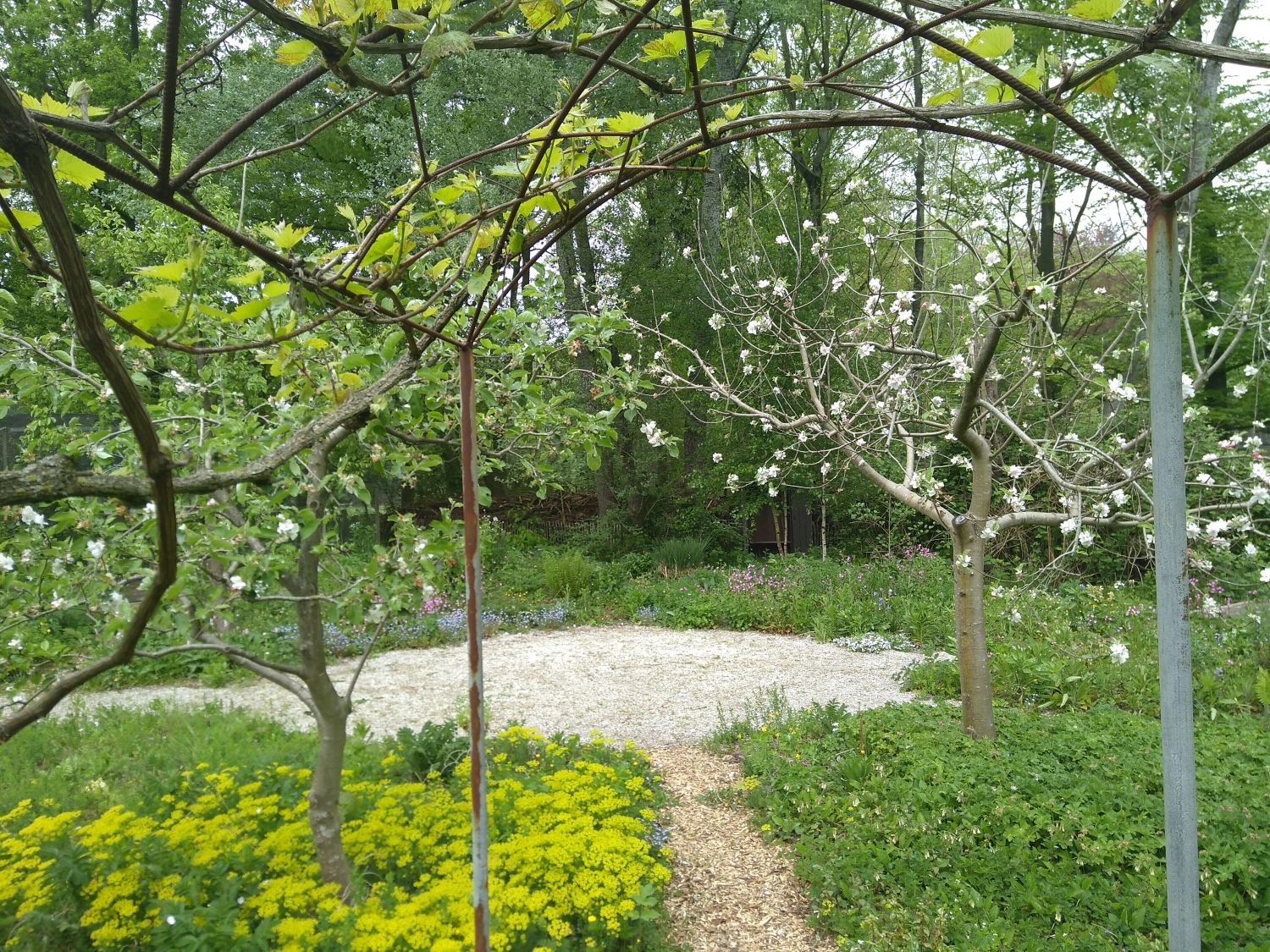 Veel te beleven in de tuin...ook op afstand