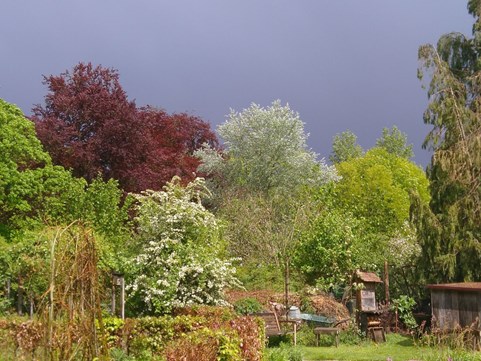 Naturentuin voorjaar 2