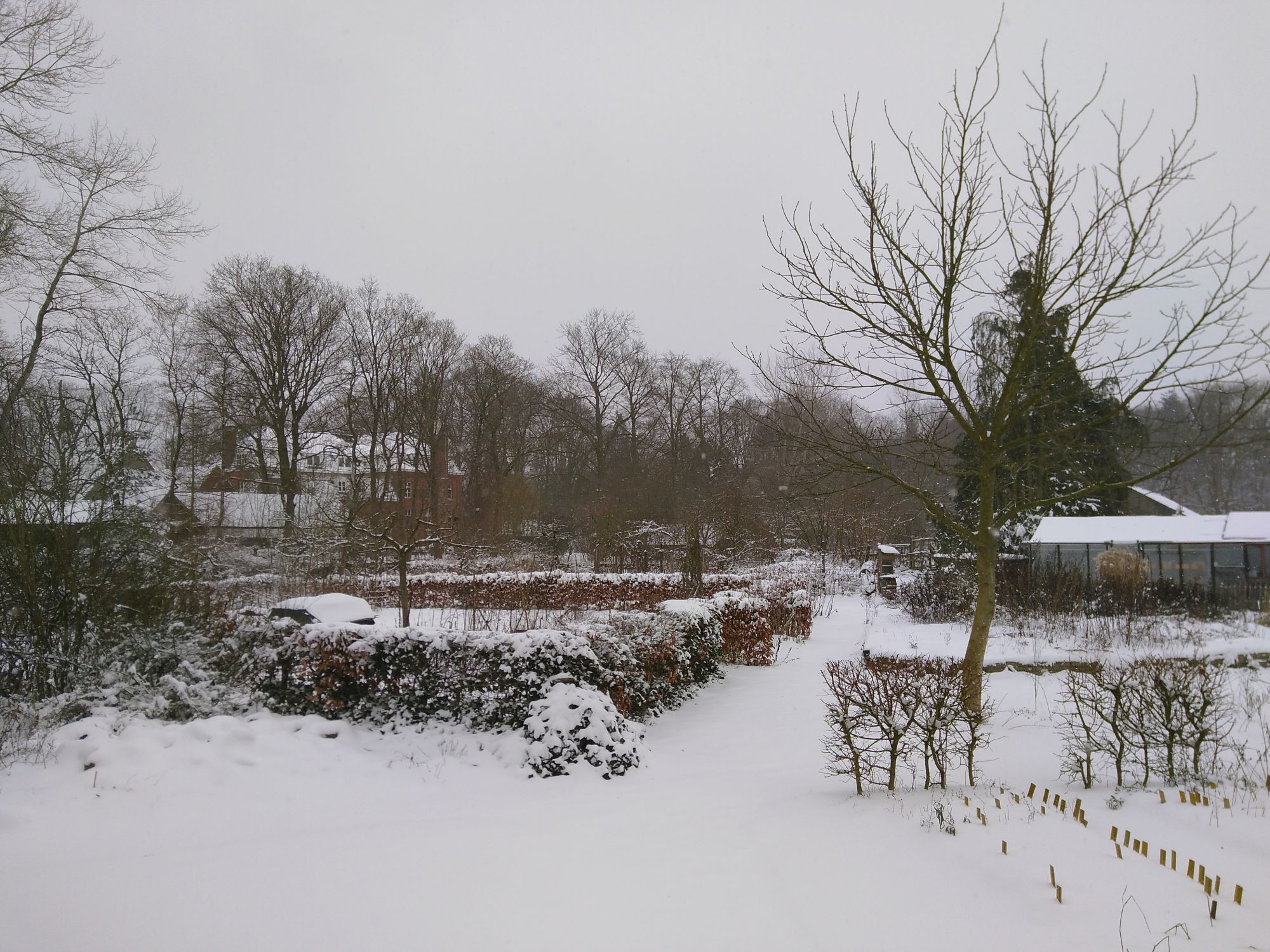 Een witte Naturentuin :-))