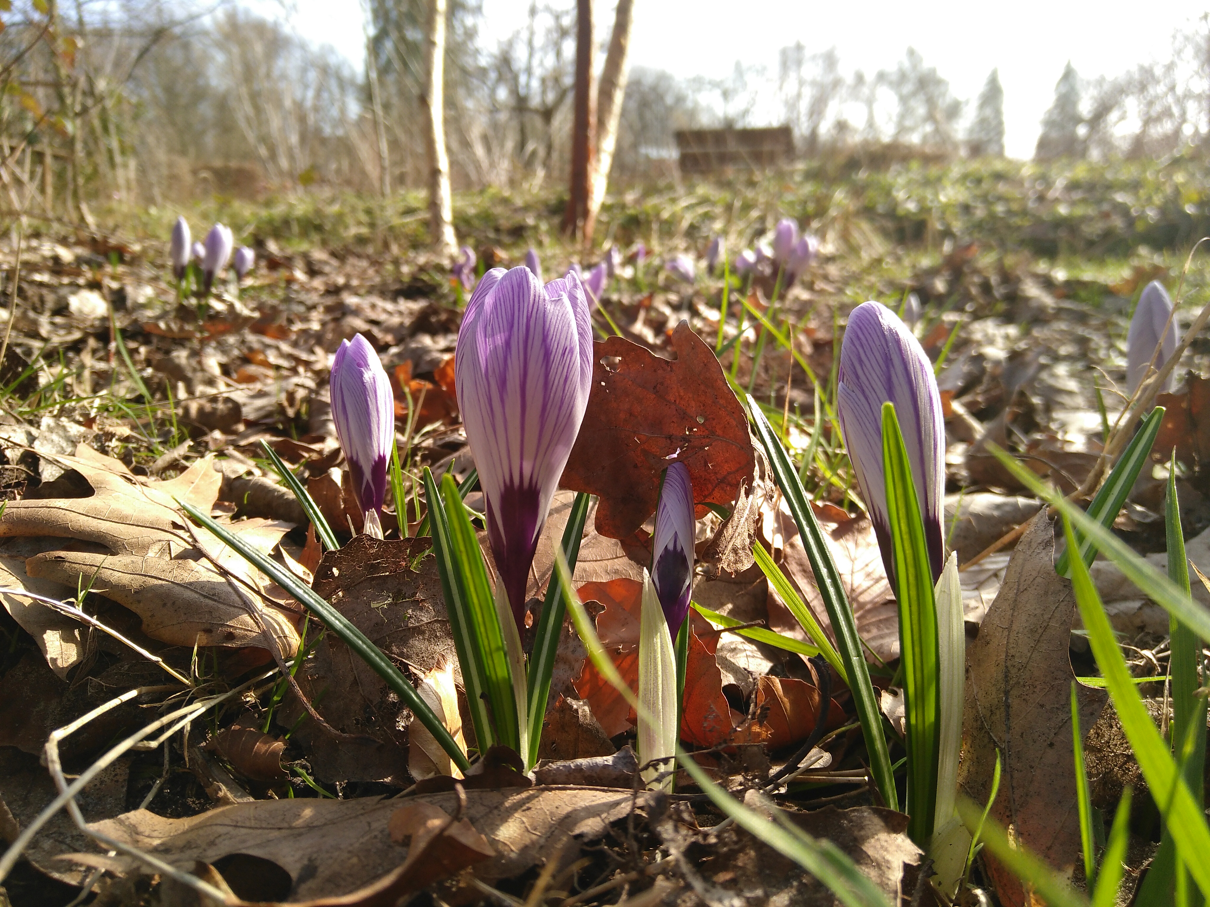 We beginnen weer ...