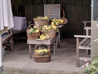 IMG_20211001_160652