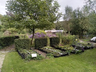 IMG_20211001_134034