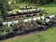 IMG_20210924_181105