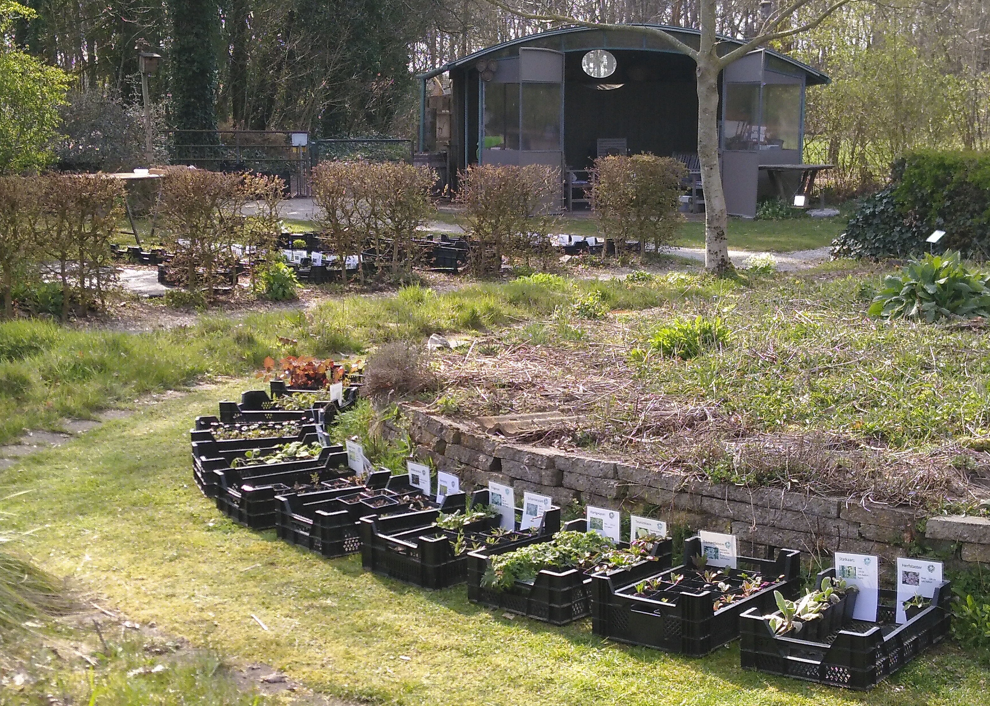 Twee plantjesdagen met nieuw assortiment
