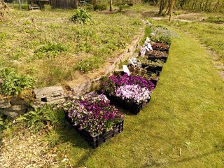 IMG_20220415_144050