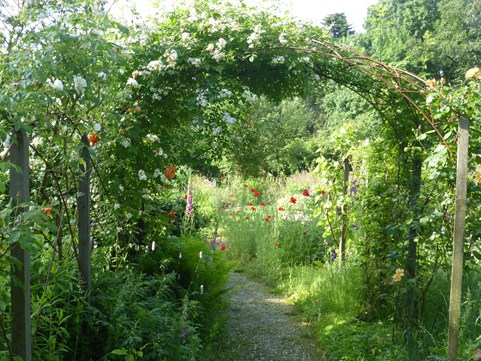 Ecotuindagen Naturentuin 2