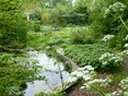 Ecotuindagen Naturentuin 1