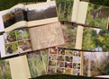 Naturentuin, dromen en doen, een kijkje in het boek